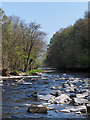 Rocks in River Wear