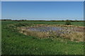 Pond by the footpath