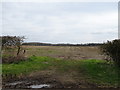 Field entrance near New House Farm