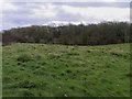 SP5201 : The Memorial Field in Kennington by Steve Daniels