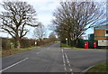 Goose Lane, High Carr