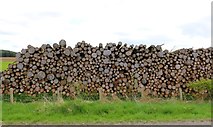 NO3206 : Pile of logs by Bill Kasman