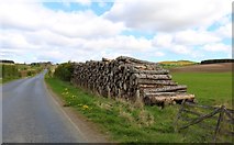 NO3206 : Pile of logs by Bill Kasman