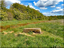 SJ7993 : Field near the River Mersey by Brian Frost
