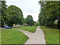 Path down a green corridor