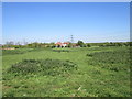 Grass field and houses on the edge of Coddington