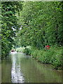 Ashby Canal south of Whitestone in Nuneaton, Warwickshire