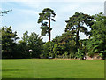 Recreation field, corner of Rydens Road and Severn Drive