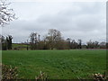 Grazing towards Doxey Brook