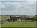 Farm buildings on Uplees Road