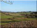 View NE from the lane to Llanmerewig