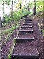 Stepped footpath on Brincliffe Edge