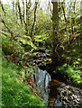 Balsaggart Burn view