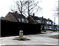 Hedge and houses, Alma Road, Cheltenham