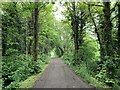 Baulk Lane, Stapleford