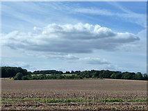 SU8408 : View north-west from Two Barns Lane by Robin Webster