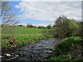 River Nethan at Cannonholm