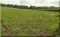 Grass field, Horsehill