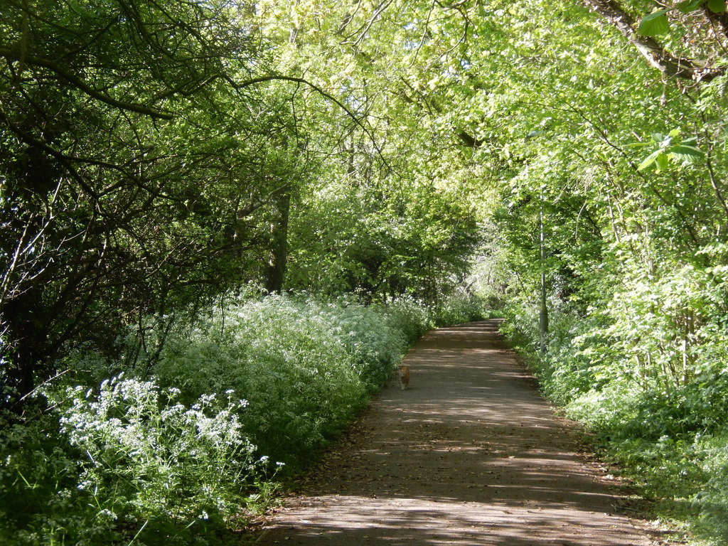 Bridleway to Cawston Grange © Stephen McKay cc-by-sa/2.0 :: Geograph ...