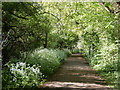 Bridleway to Cawston Grange