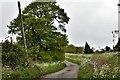 Occold: Lane leading to Benningham Hall