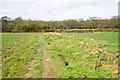 Footpath between fields, West Durrington, 2010