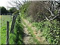 Public Footpath near Murton