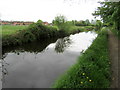 Montgomery Canal south of Maesbury Marsh