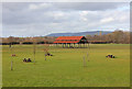 Logrun Barn