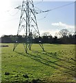 Pylon, Wey floodplain