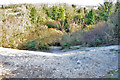 Chalky slope, old chalk pit, 2010