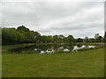 Pond on Petersfield Golf Course