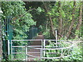 A wobbly allotment fence