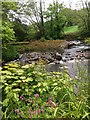 Weir on the Erme