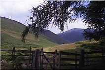 NY2626 : Start of path up Skiddaw from Millbeck by Colin Park