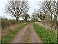 A walk around Bulkington [46]