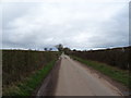 Roman Road near Puleston