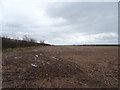 Field and hedgerow near Kingswell Unit