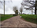 Track (footpath) to Ellerton Grange