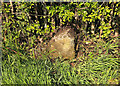 Boundary stone by the A487