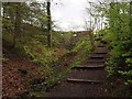 Stepped path to Fulwood Lane