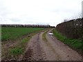 Farm track (footpath) near Soudley Park Farm