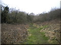 Footpath alongside Loscoe Brook west of Loscoe (1)