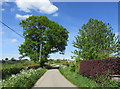 Country lane north of Little Arowry