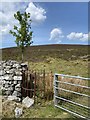 Wall, stile and gate