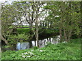 Footbridge over the Rye