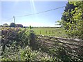 Disused Entrance - Telegraph Track