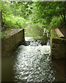 Weir, River Wey