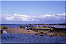 NU2033 : Foreshore at Shoreston Rocks, Seahouses by Colin Park