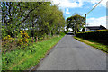 H5469 : Drumduff Road, Derroar by Kenneth  Allen